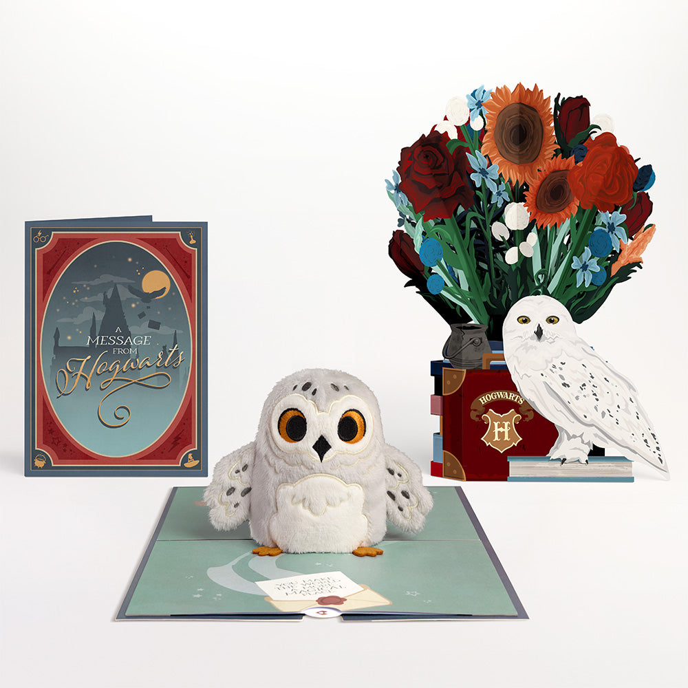 Harry Potter™ Hedwig™ Plushpop Card & Flower Buds Bouquet Bundle
