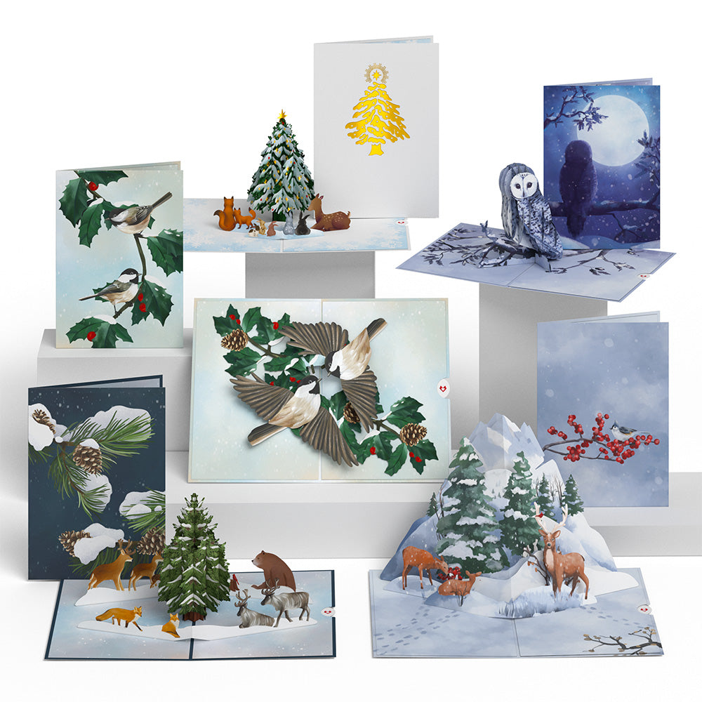 Winter Woodland 5-Pack