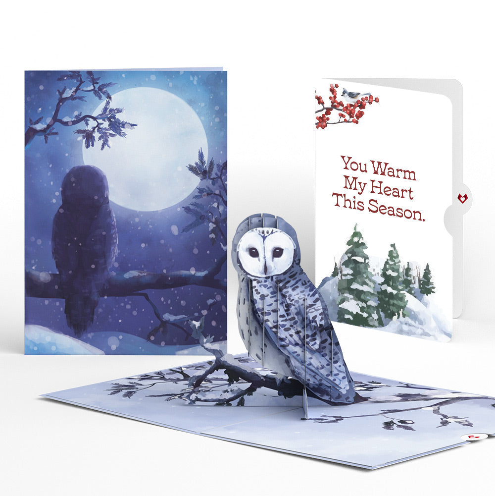 Snowy Owl Love Pop-Up Card and Sentiment Set – Lovepop