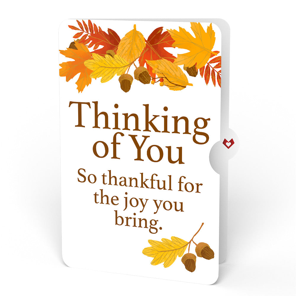 In All Things, Give Thanks Thinking of You Pop-Up Card and Sentiment Set