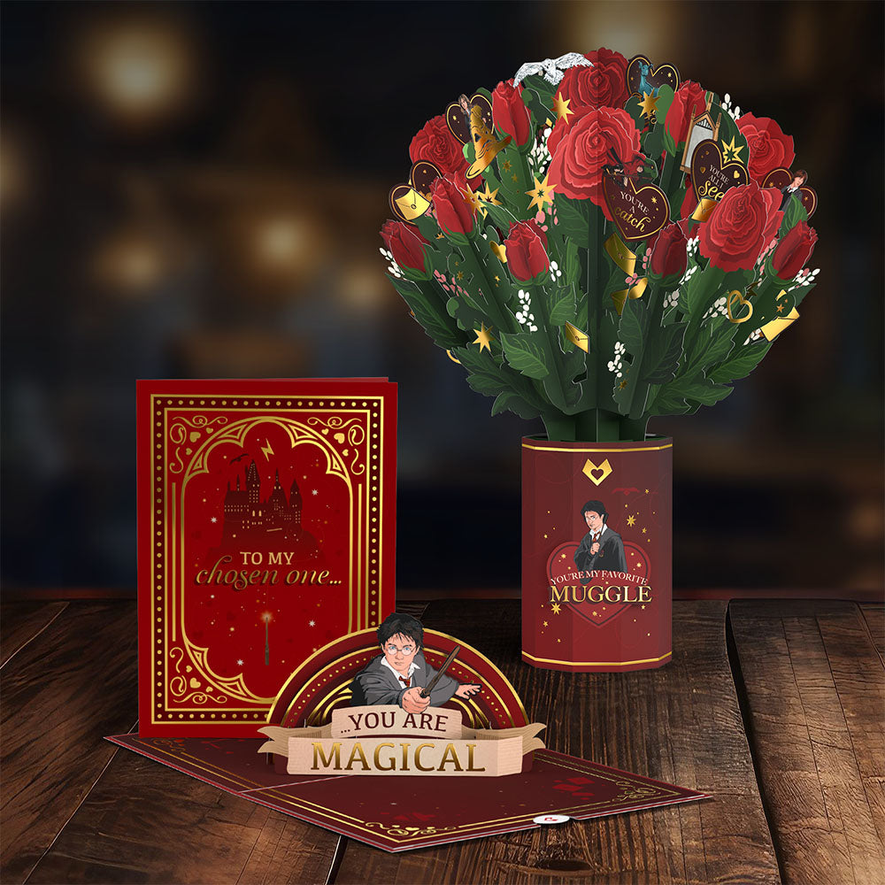 Harry Potter™ You Are Magical Bundle