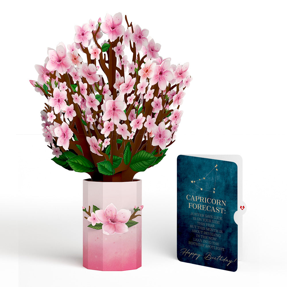 Cherry Blossom Birthday Bouquet and Capricorn Zodiac Sentiment Set
