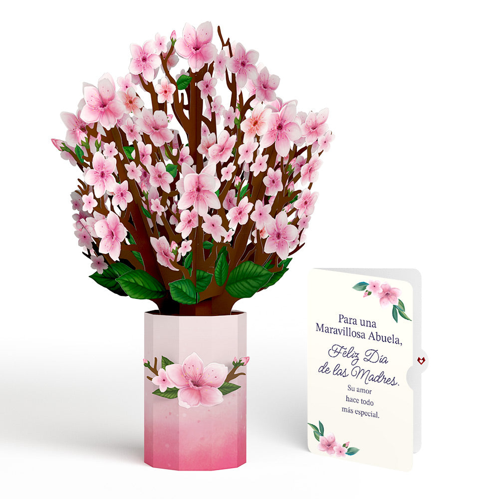 Cherry Blossom Mother's Day Bouquet and Sentiment Set for Spanish Grandmother