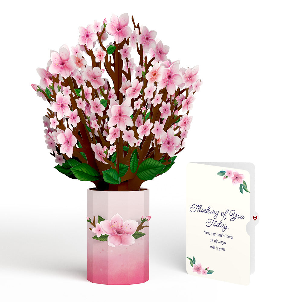 Cherry Blossom Mother's Day Bouquet and Thinking of You Today Sentiment Set