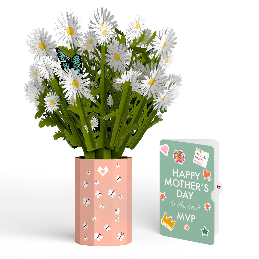 Daisy Mother's Day Bouquet and The real MVP Sentiment Set