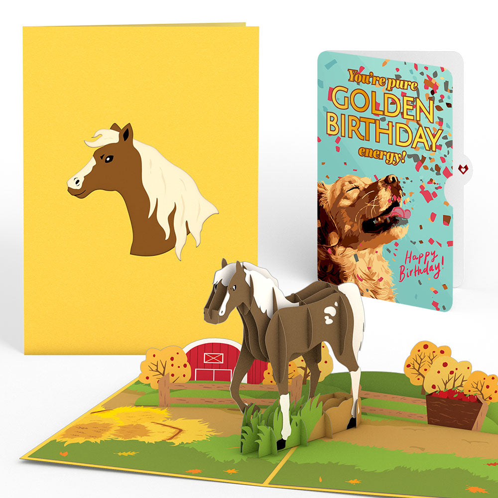 Horse Birthday Pop-Up Card and Golden Energy Sentiment Set