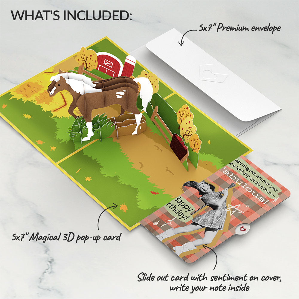 Horse Birthday Pop-Up Card and Cardio Queen Sentiment Set