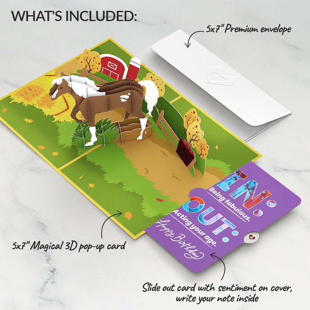 Horse Birthday Pop-Up Card and IN & OUT Sentiment Set