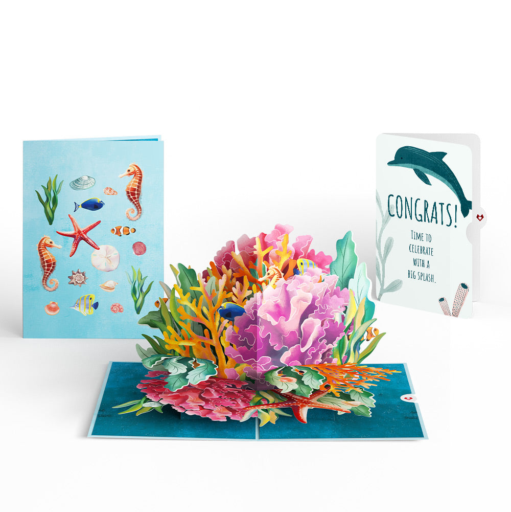 Coral Reef Wonders Congratulations Pop-Up Card and Sentiment Set