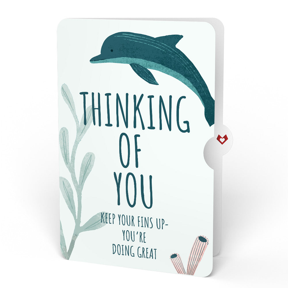 Playful Dolphins Thinking of You Pop-Up Card and Sentiment Set