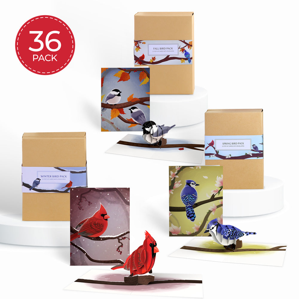 Seasonal Birds Box Set Bundle (Assorted 36-Pack): Paperpop® Card
