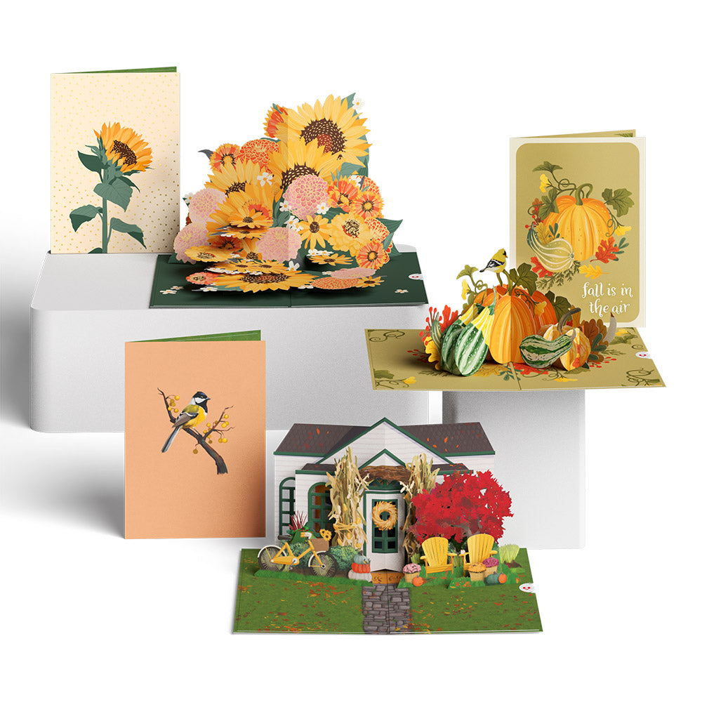 Fall Is in the Air 3-Pack