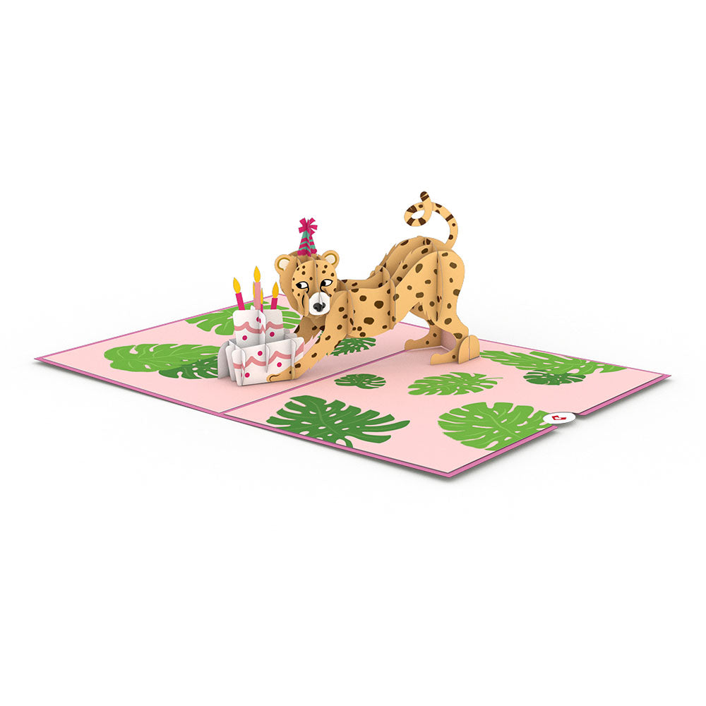 Party Animals Birthday 5-Pack