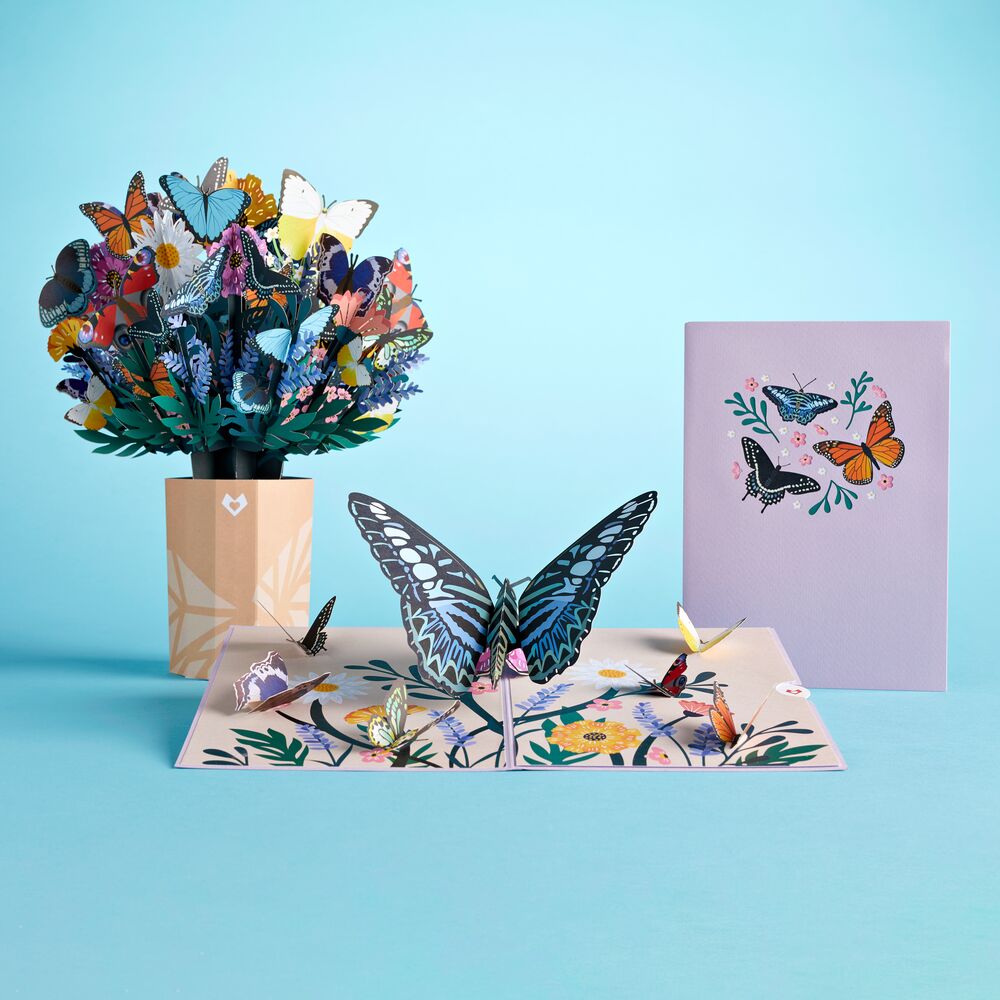 Butterfly Bundle