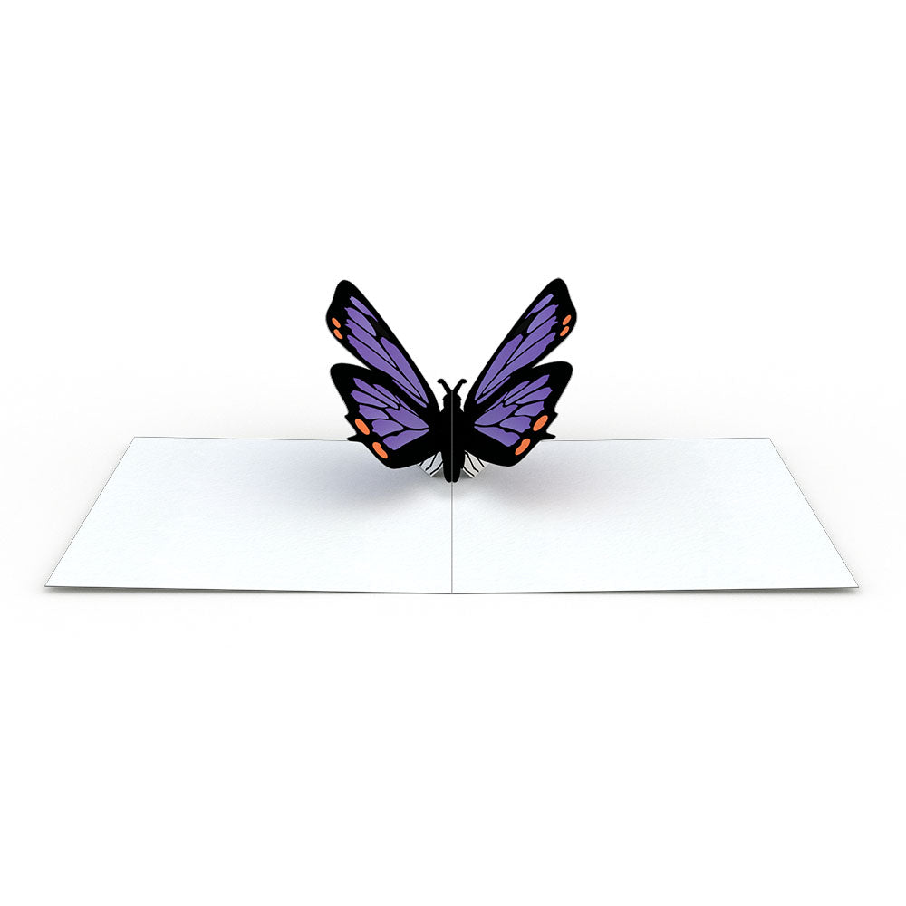 Butterfly Notecards (Assorted 4-Pack)