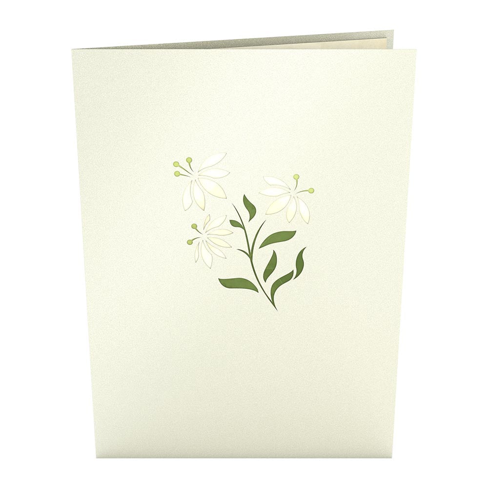 White Flower Basket Pop-Up Card