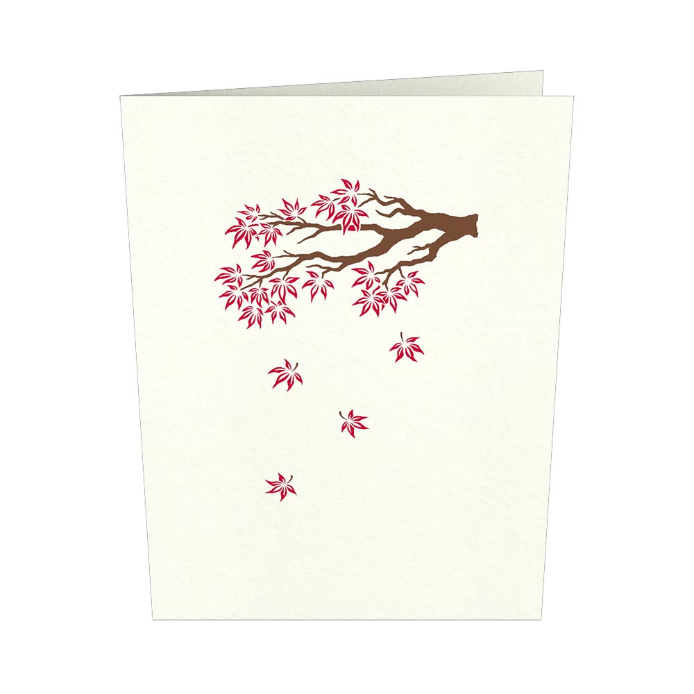 Japanese Maple Notecards (4-Pack)