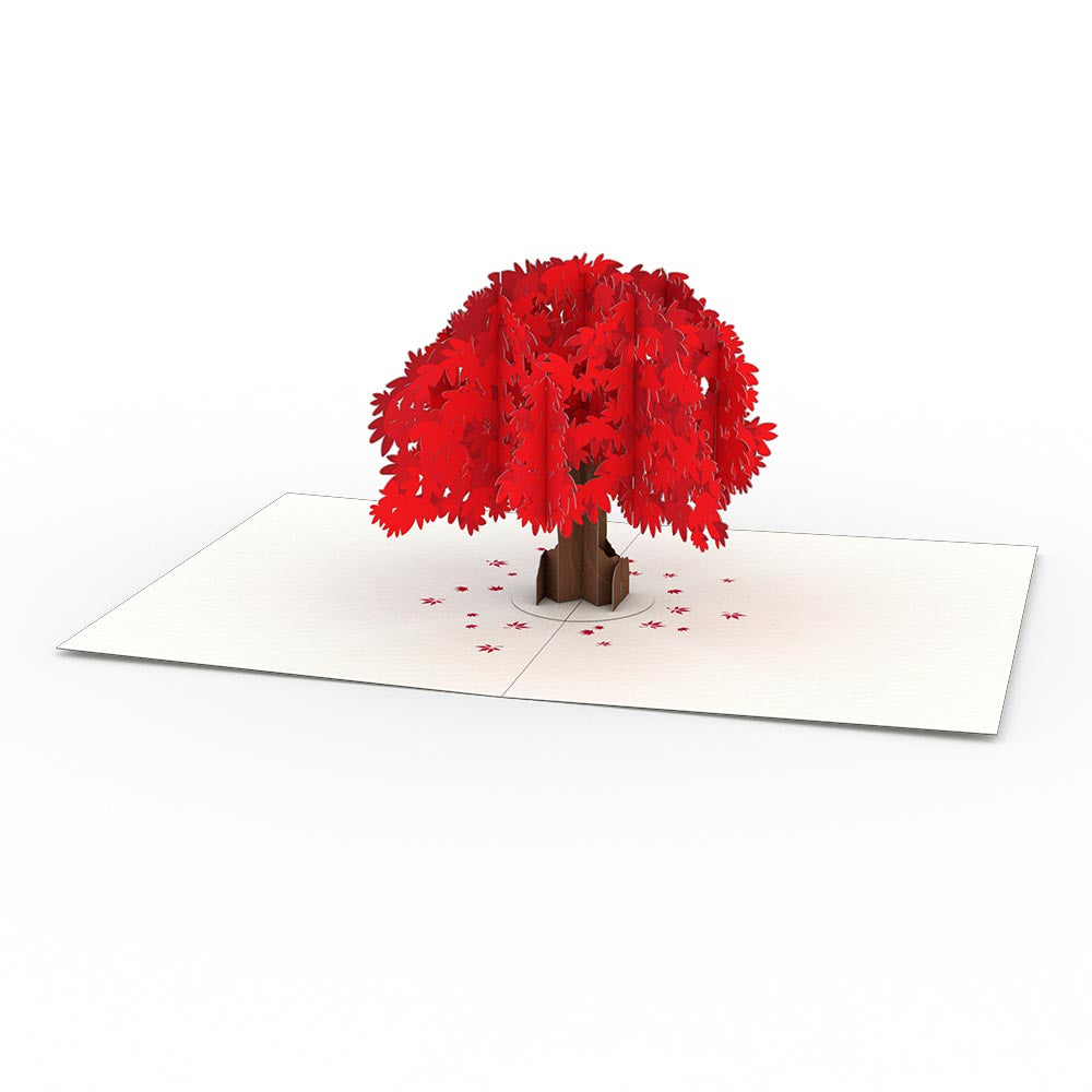 Japanese Maple Notecards (4-Pack)