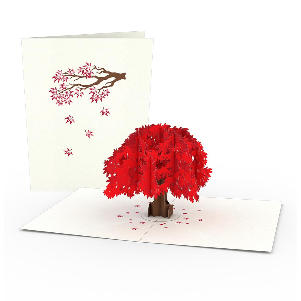 Japanese Maple Notecards (4-Pack)