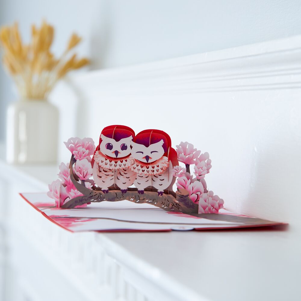 Love Owls Pop-Up Card