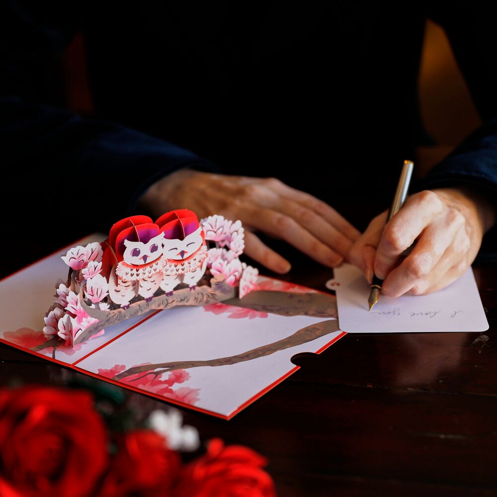 Love Owls Pop-Up Card