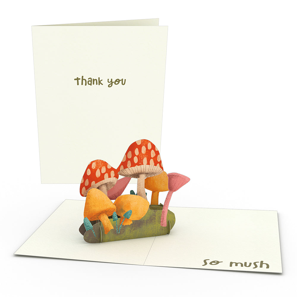 Thank You Whimsical Notecards (Assorted 4-Pack)