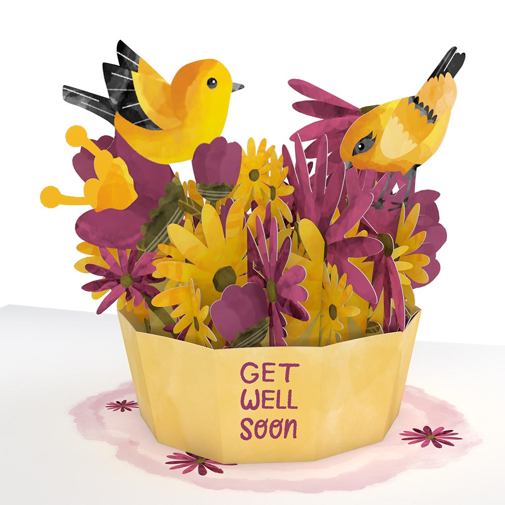 Get Well Soon Bird Paperpop Card