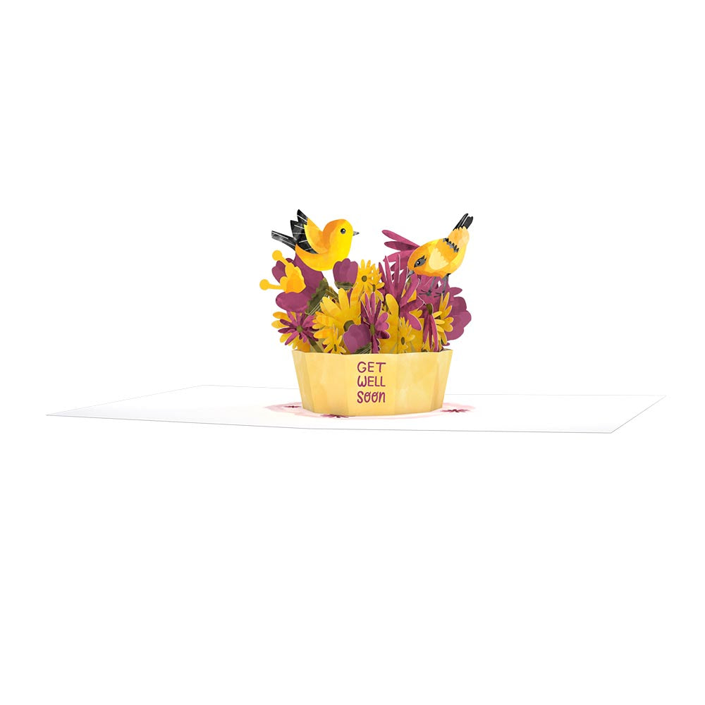 Get Well Soon Bird Paperpop® Card