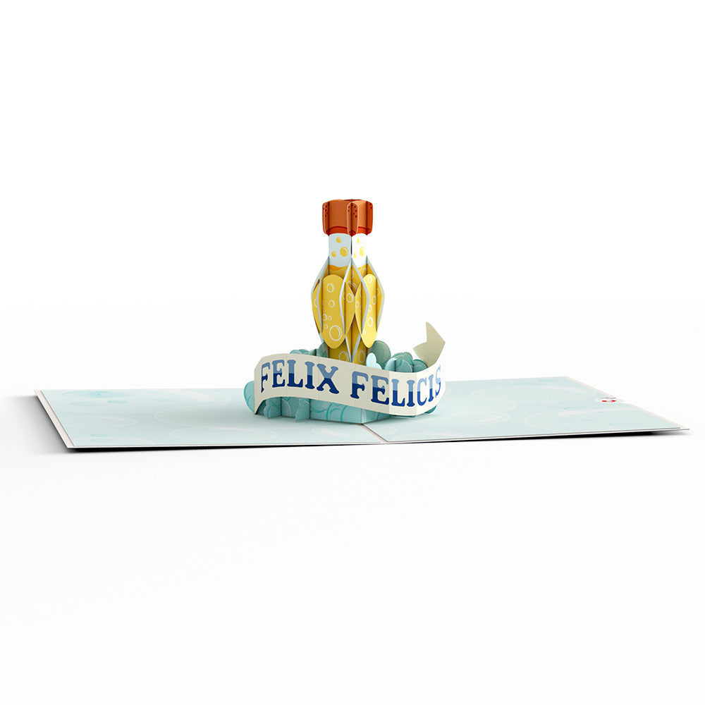 Harry Potter™ Liquid Luck Pop-Up Card