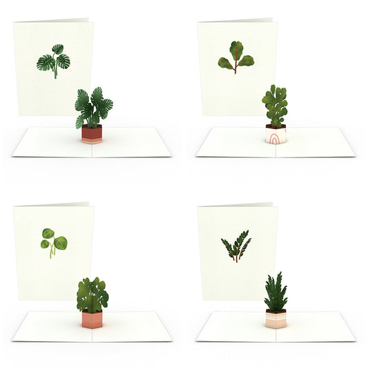 Plants Notecards (Assorted 4-Pack)
