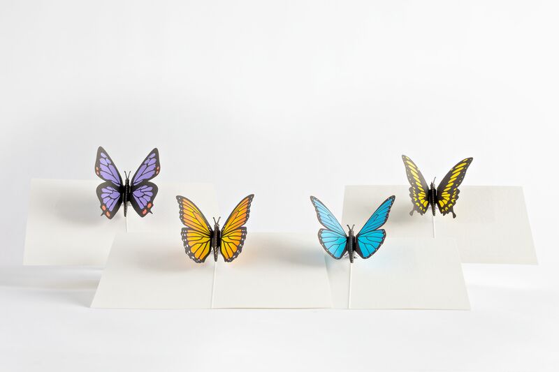 Butterfly Notecards (Assorted 4-Pack)