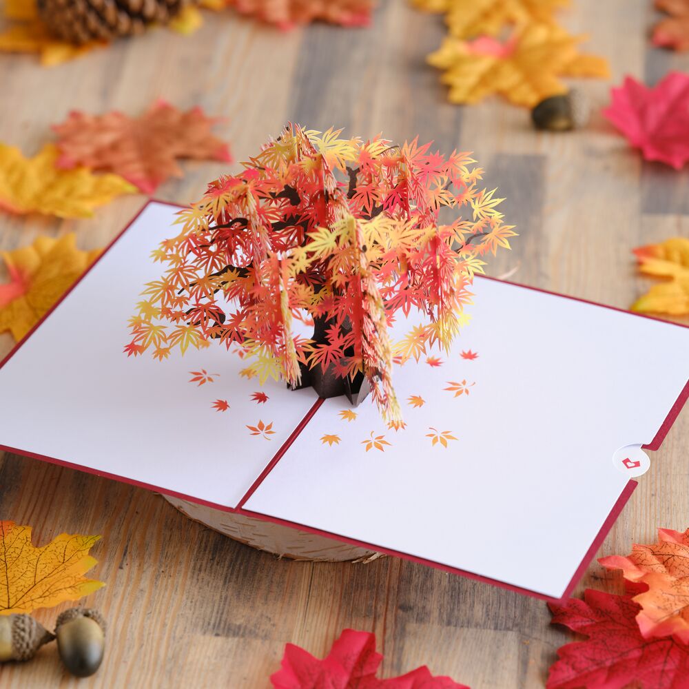 Sugar Maple Tree Pop-Up Card