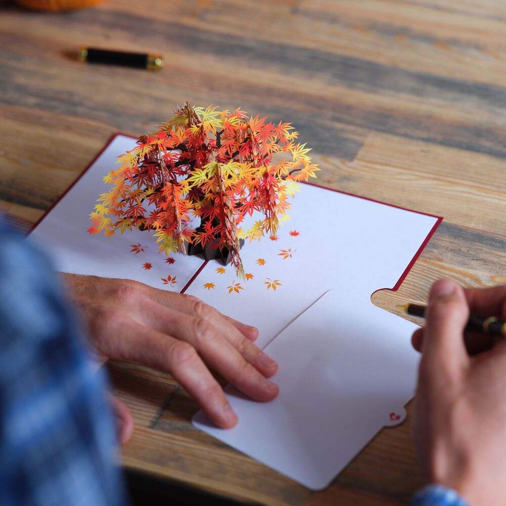 Sugar Maple Tree Pop-Up Card