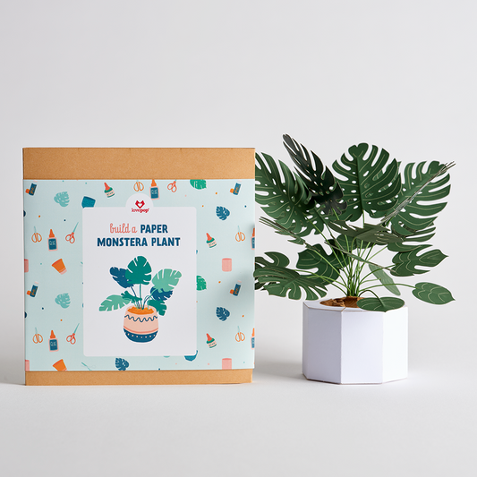 Paper Monstera Plant DIY Kit