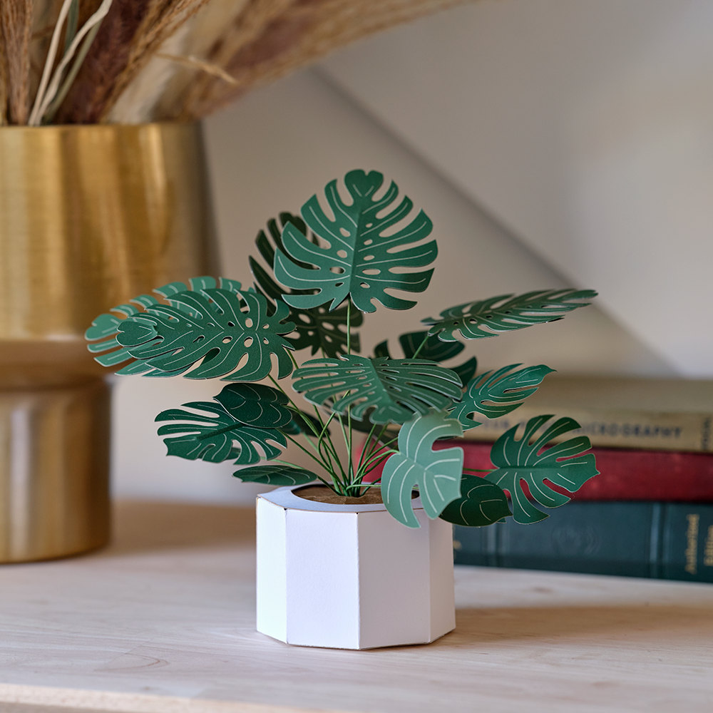 Paper Monstera Plant DIY Kit