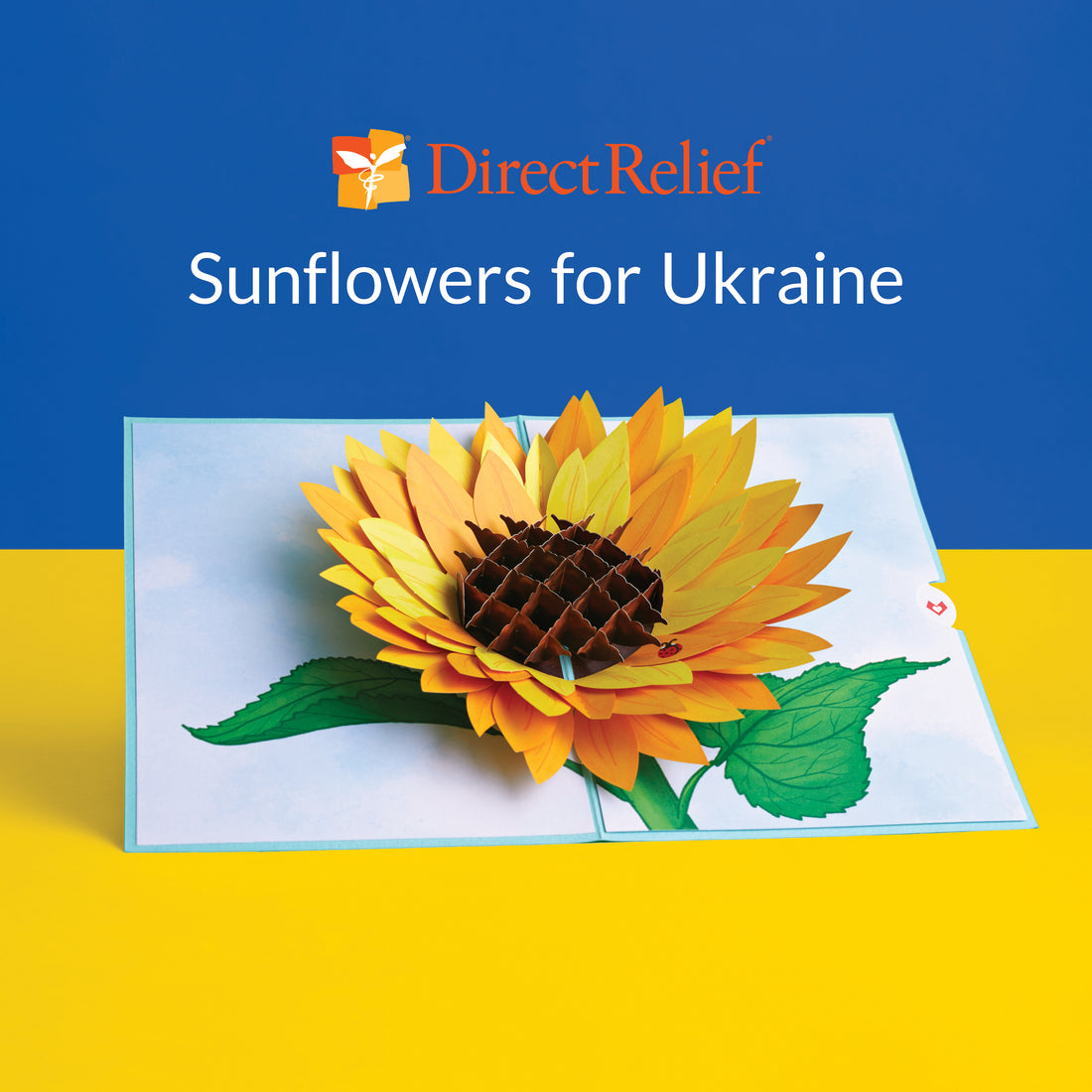 Sunflowers for Ukraine 🌻