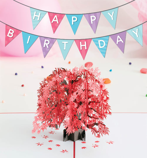 Happy Birthday Japanese Maple!