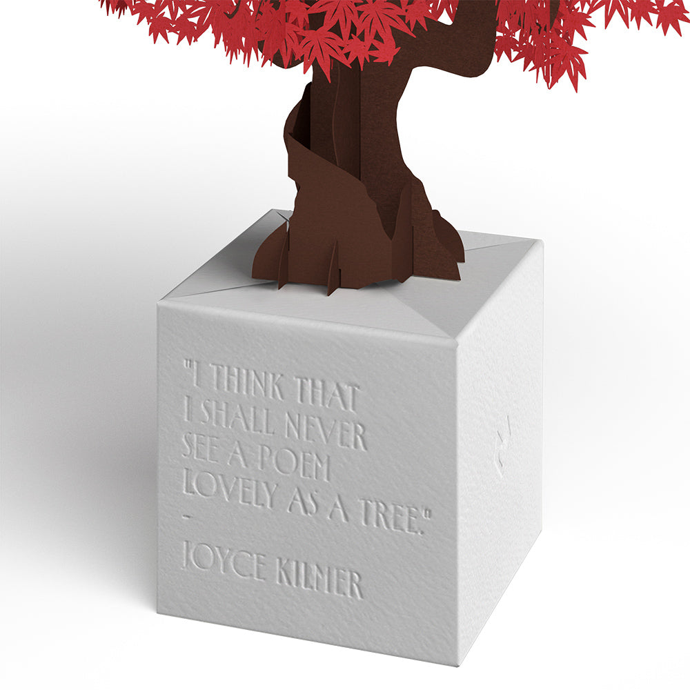 Japanese Maple Poet Tree Pop-Up Paper Sculpture