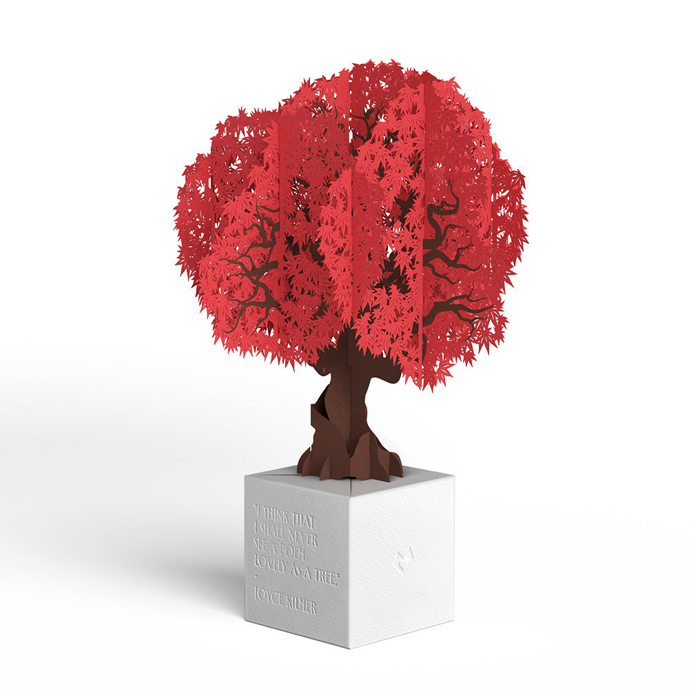 Japanese Maple Poet Tree Pop-Up Paper Sculpture