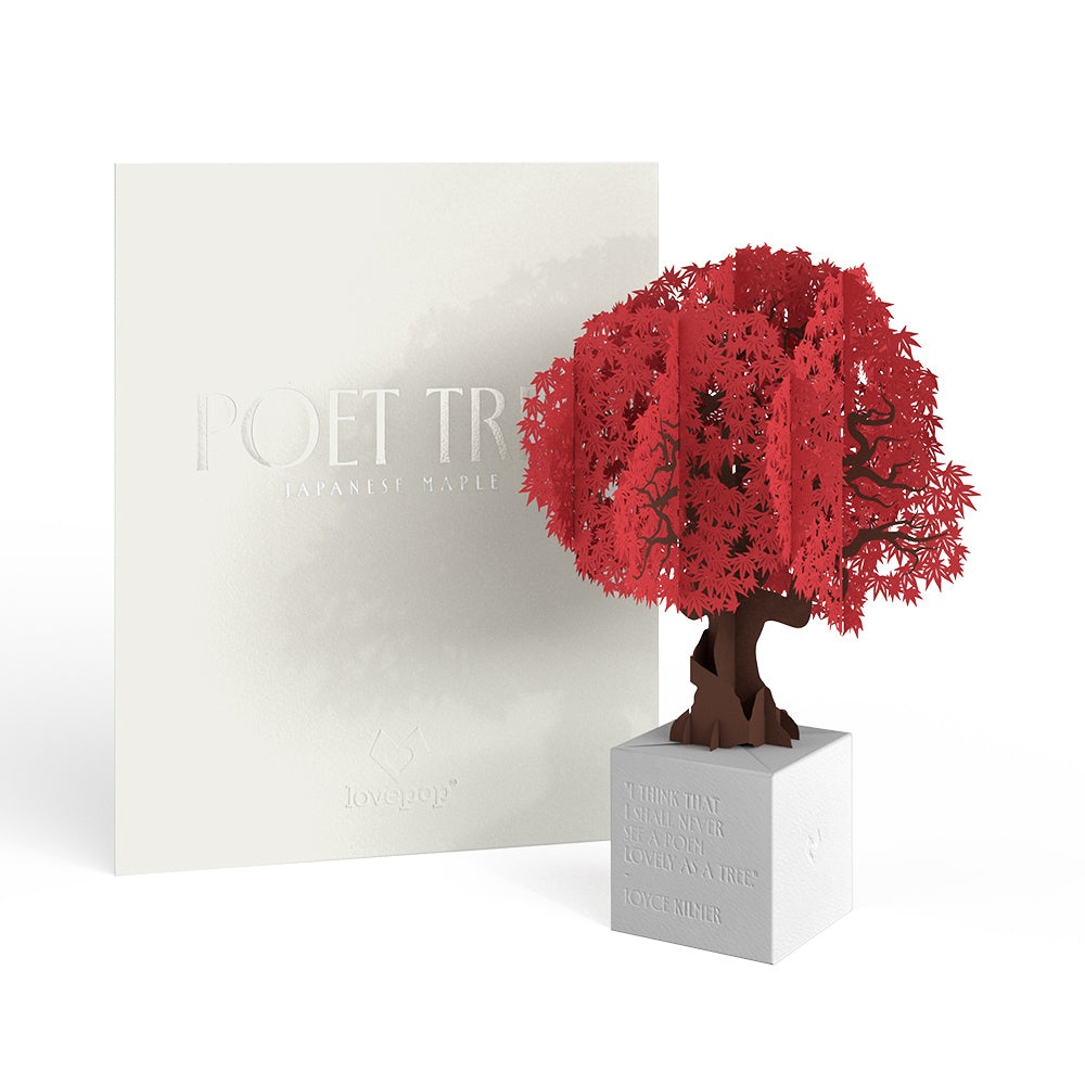 Japanese Maple Poet Tree Pop-Up Paper Sculpture