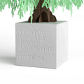 Weeping Willow Poet Tree Pop-Up Paper Sculpture