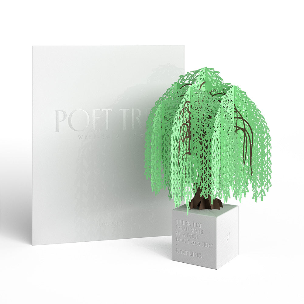 Weeping Willow Poet Tree Pop-Up Paper Sculpture