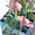 Hummingbird Unboxed Pop-Up Paper Sculpture