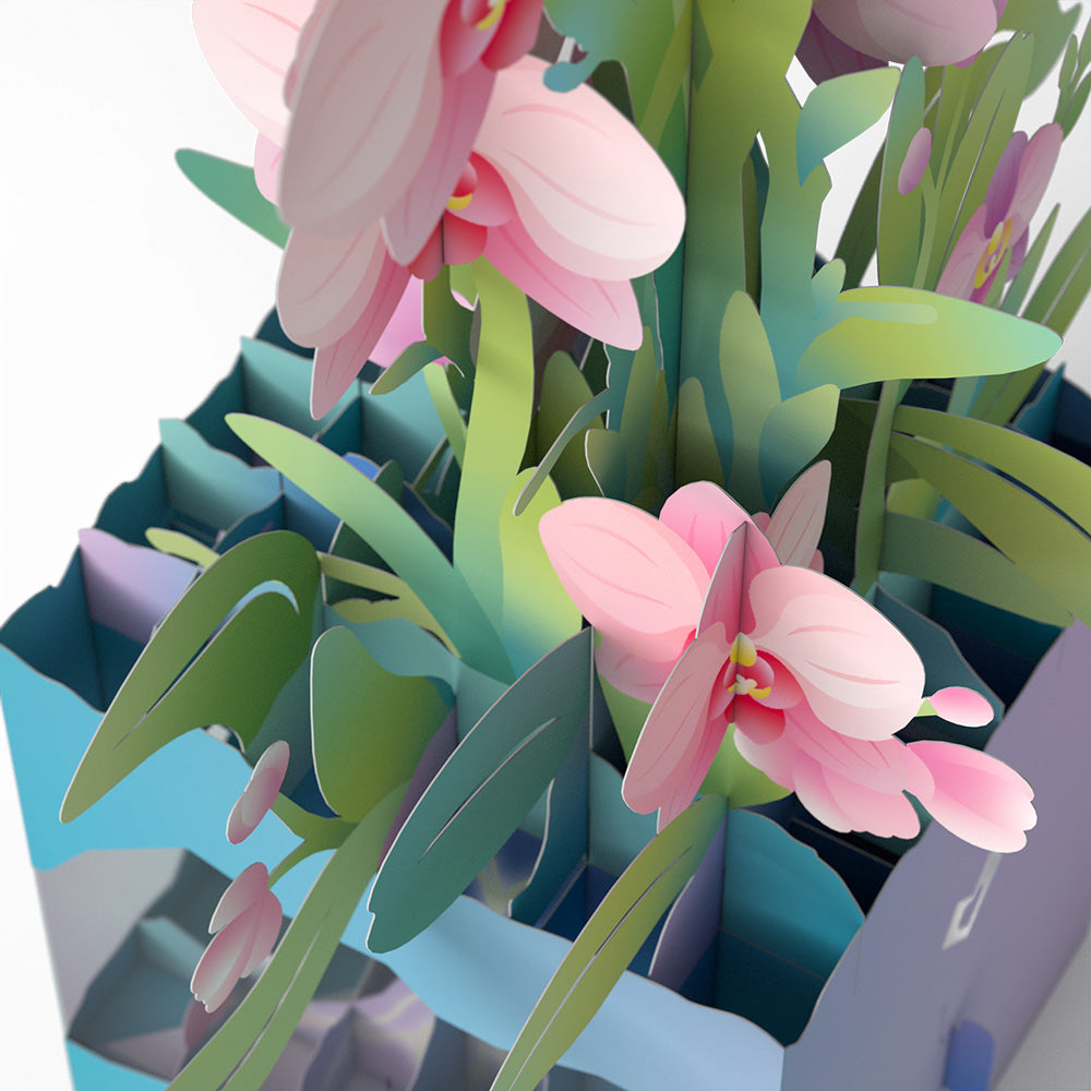 Hummingbird Unboxed Pop-Up Paper Sculpture