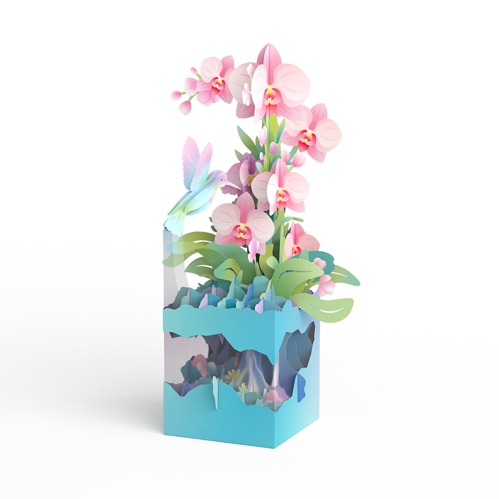 Hummingbird Unboxed Pop-Up Paper Sculpture