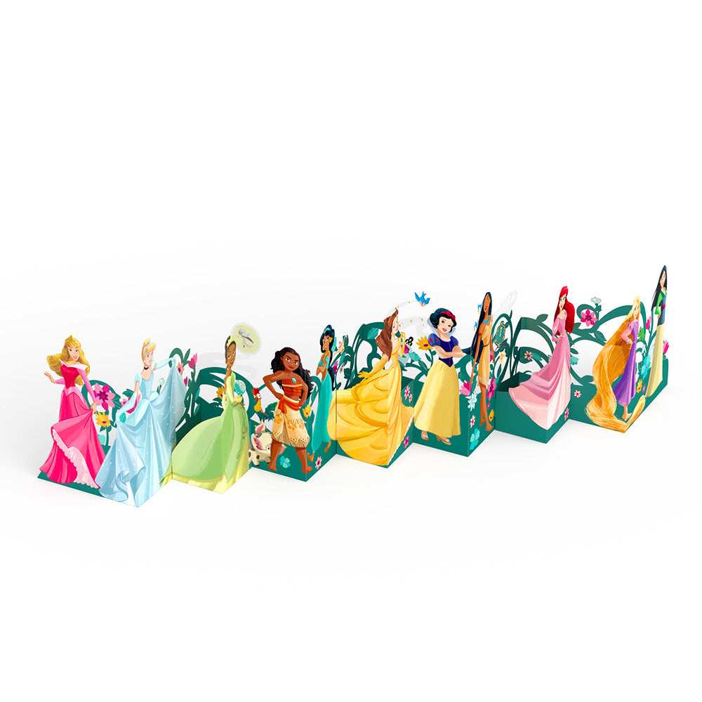 Disney Princess Full of Happily Ever Afters Loooooong Card™ (Expands to 2 feet)