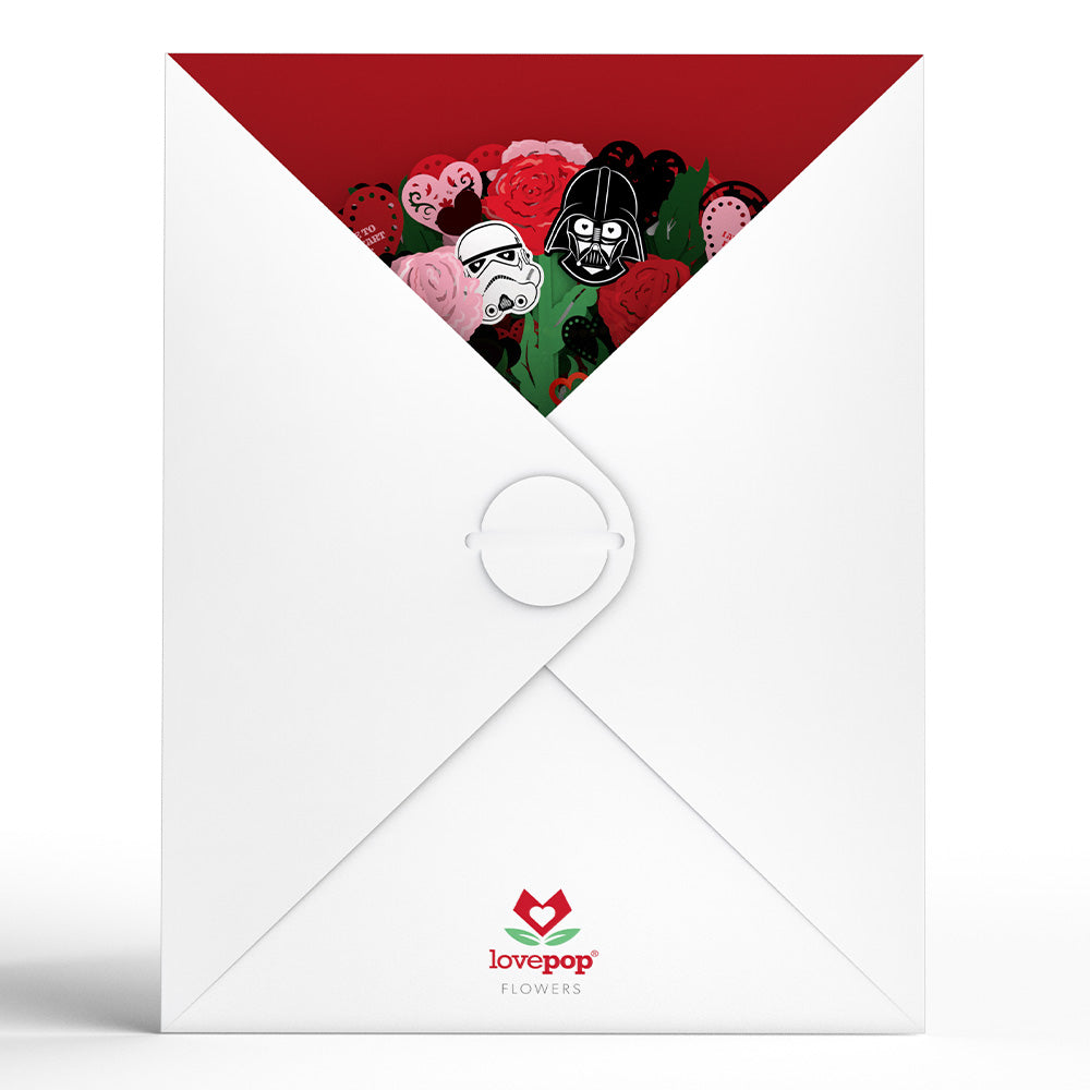 Star Wars™ Darth Vader™ Valentine Bundle