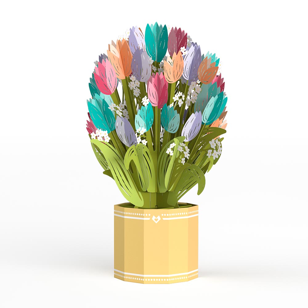 Mom Tulip Set of 3