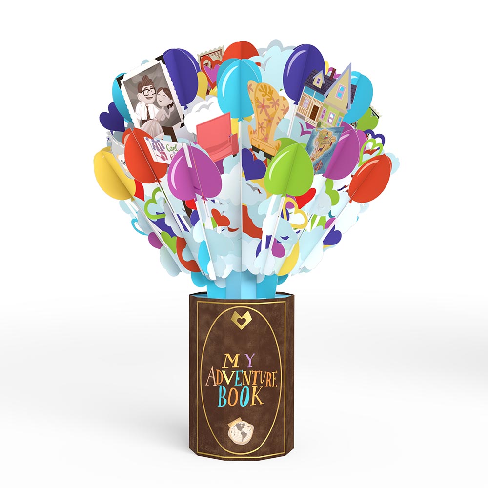 Disney and Pixar Up My Greatest Adventure Valentine Bundle