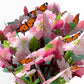 Cherry Blossom Butterfly Mother's Day Bouquet and Sentiment Set for Step-Mother